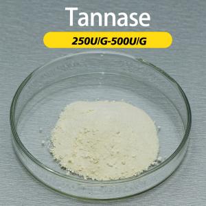 250U/G-500U/G L'enzyme tannase élimine les tanins et affaiblit le goût amer