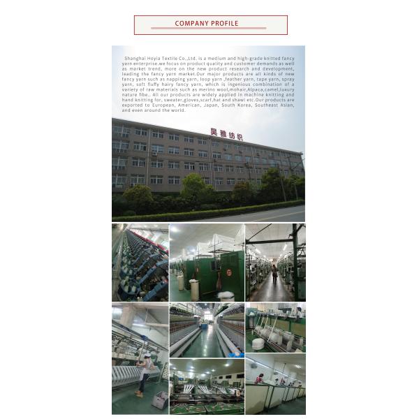 Таможня связала почищенную щеткой пряжу 1/6NM повторно использовала пряжу вязания крючком шерстей смеси