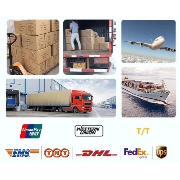 Дополнения Shen бушеля Mawangdui Yu почка Tonifying тела неправильного устного жидкостного китайского травяного сильная