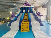 Novo Design Popular Slide Inflável Ocean Octopus Cartoon Party Slides Duplos Infláveis Secos para Crianças e Adultos