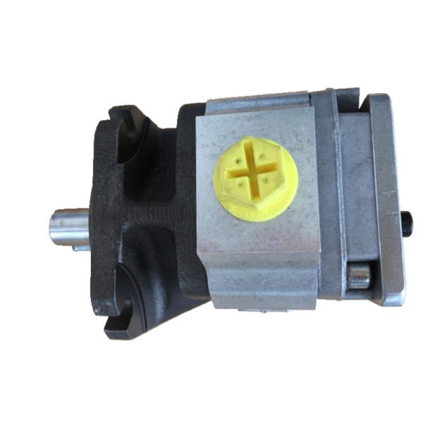 Rexroth PGF2-22 006RE01VE4 Pompe à engrenages hydrauliques à haut rendement Sécurité Nouveau