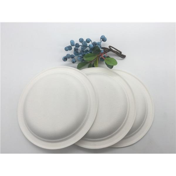 Disposable 6/ 7 /8.75/9 10 Inch Biodegradable Sugarcane Bagasse Plates