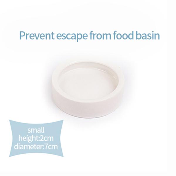 Cuenco para mascotas evita que los gusanos del pan escapen Lagarto Cerámica Plato de agua para alimentos Reptil