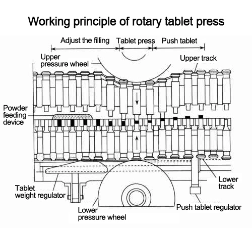 Automatic Dia 11mm 80kn Rotary Tablet Press Machine