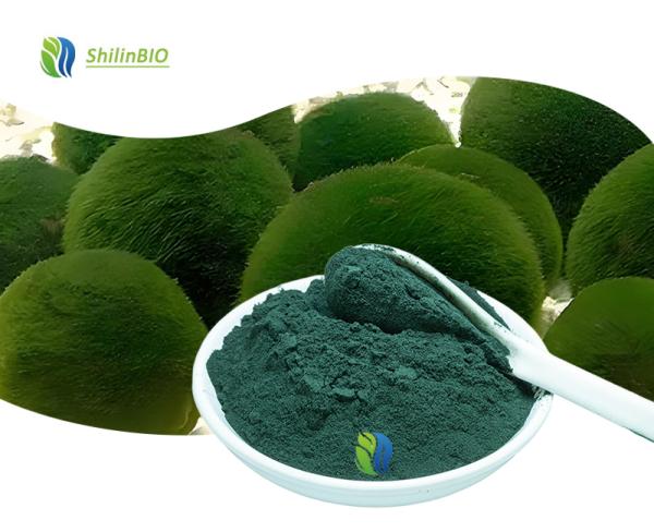 Pure Chlorella Powder