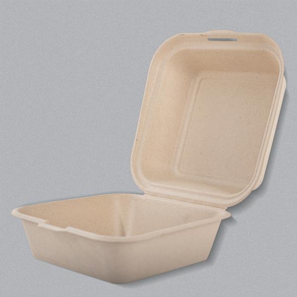 Takeout Food Box Customized Request for 100% Compostable Disposable Bagasse Lunch Box