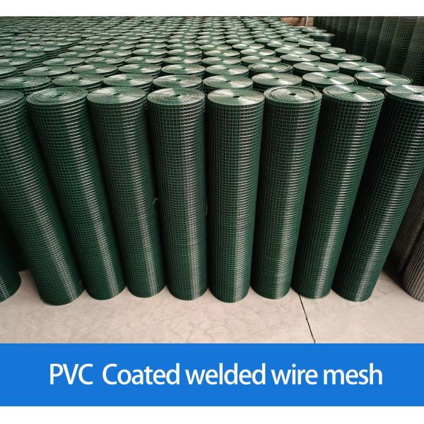 Factory PVC plastic coated welded wire mesh wire Mesh Welded Netting welded wire mesh