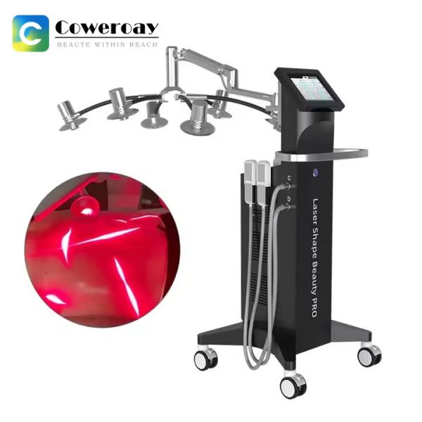 6D Laser Cryolipolysis Slimming Machine 635nm With 4 Paddles Cool Plates