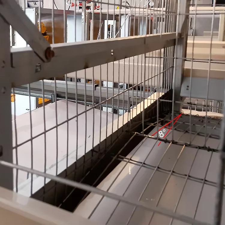Automatic Galvanized Steel Chicken Poultry Battery Cage with Manure Removal and Customizable Finishes