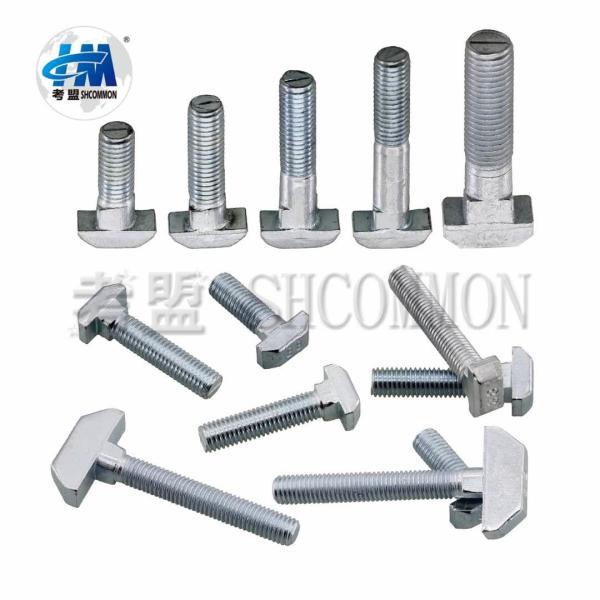 Collated Drywall Screws M8 M10 M12 M16 M24 T Screw Bolts Fastener
