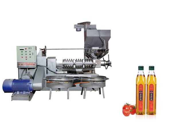 Máquina alta da fabricação do óleo da taxa do óleo/máquina fria da extração do óleo da imprensa