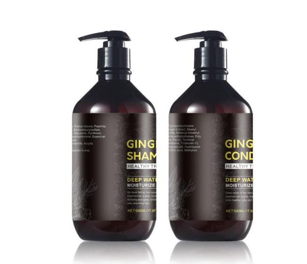 Danddruff  Sulfate Free Ginger Hair Shampoo , Natural Vegan Hair Shampoo Argan Oil