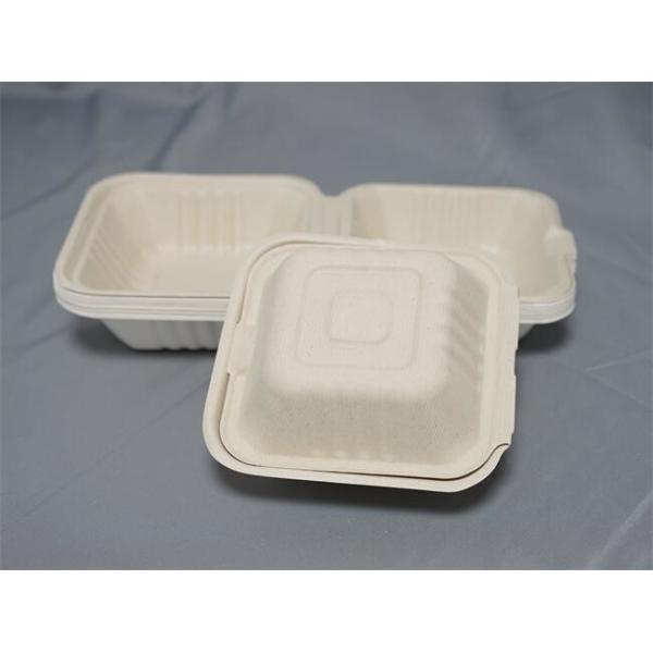 6" canne à sucre biodégradable d'hamburger plaque des restaurants