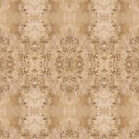 O painel extravagante enfrentou a fonte alongada 2440/2745mm branca natural de China do tamanho da decoração de Burl Wood Veneer For Hotel do álamo