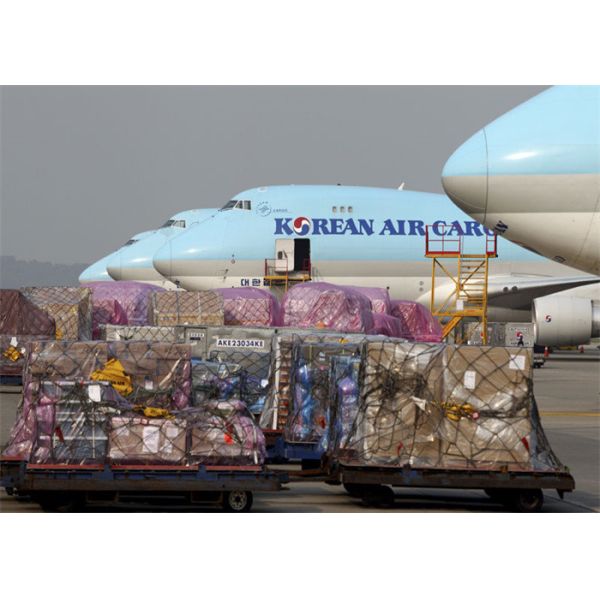7X24 Hours Air Logistics International From China To Canada USA Air Freight Forwarder