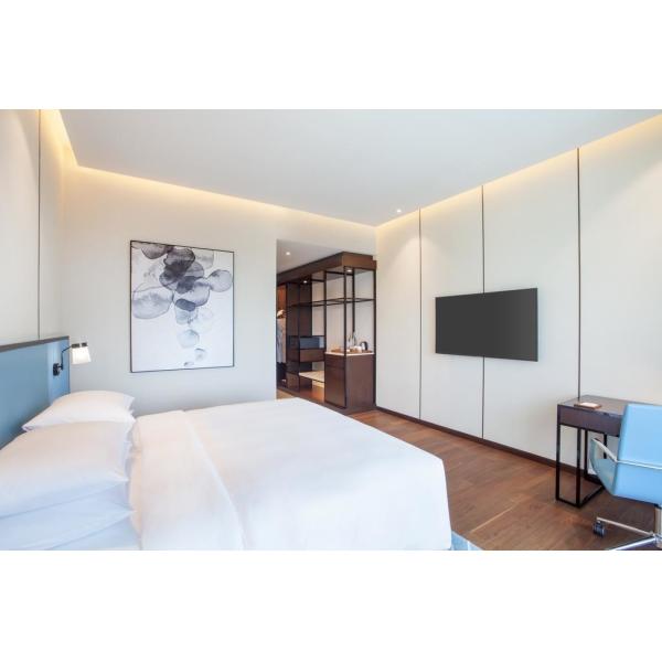 India Hyatt Hotel Blue Theme National Features Thin Structure Furnitures