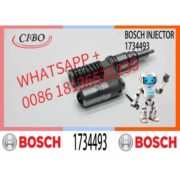Original Diesel Fuel Injection Repair Kit F00041N042 Hot Sale Diesel Engine Repair Kit F00041N042 1734493 for 0414701092
