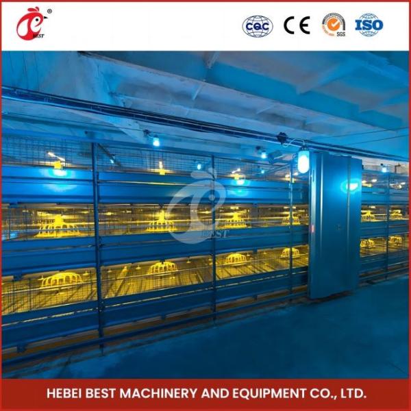 Hot Galvanized H Type Broiler Cage Silver Surface Treatment For Poultry Farming Rose