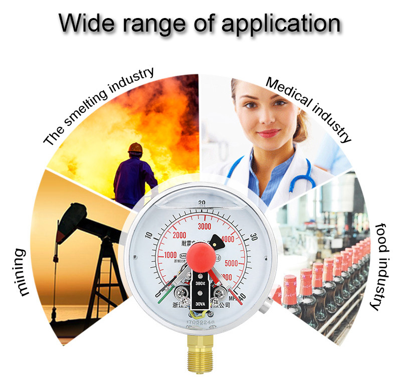 Portable Water Pressure Gauge High Precision 1000bar Manometer with Electrical Contact