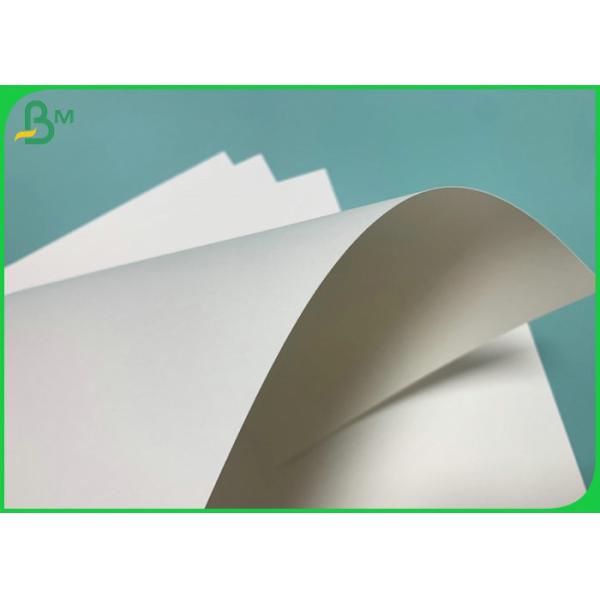 Printable 190gsm+18PE PE Coated Paper To Produce Cup Fan Food Grade Printable 190gsm+18PE PE Coated Paper To Produce Cup Fan Food Grade