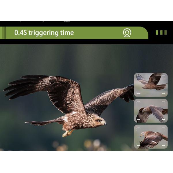 2.4 Inch Screen Wireless 4G LTE Hunting Camera 4MP CMOS Sensor Cellular Trail Camera