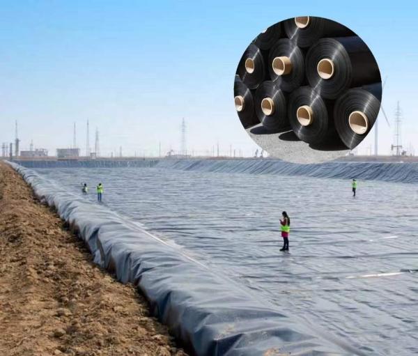 Direct Supply 0.5mm HDPE Sheet Polyethylene Film for Aquaculture Length 50-200m / Roll