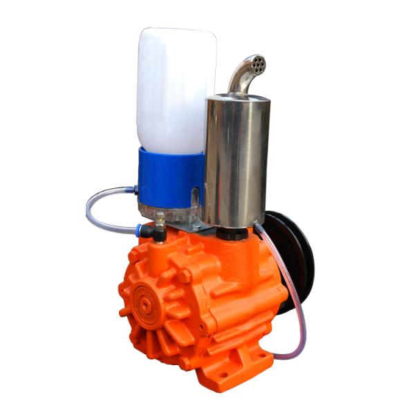 ременная передача переключателя вакуумного насоса лопасти 220V 90Kpa роторная