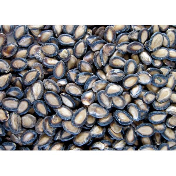 Watermelon Seed Kernels Walnut Sorting Machine Intelligent 8 Channels