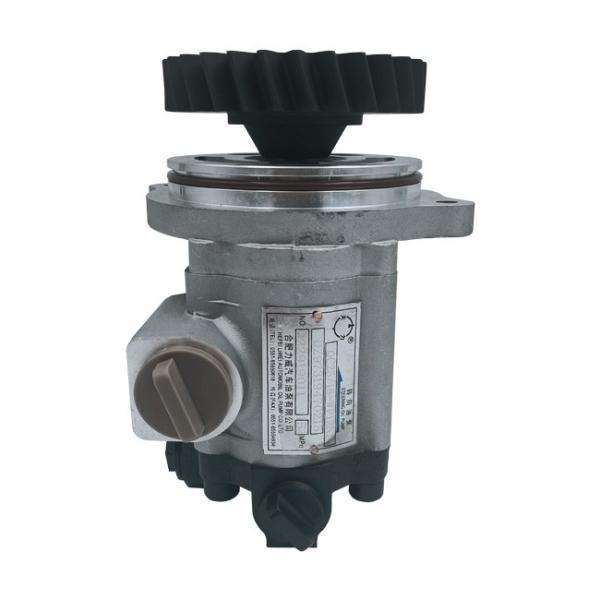 Liwei Heavy Duty Power Steering Truck Gear Pump For Zoom WP12 Engine DZ97319470215