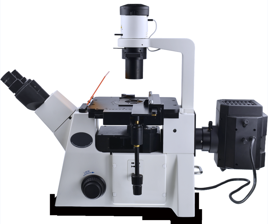 LIF-305 Trinocular перевернуло люминесцентный микроскоп с камерой