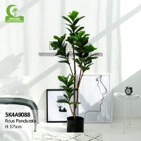 Fábrica artificial decorativa das plantas verdes dos bonsais artificiais do verde de Pandurata Hance do ficus barato