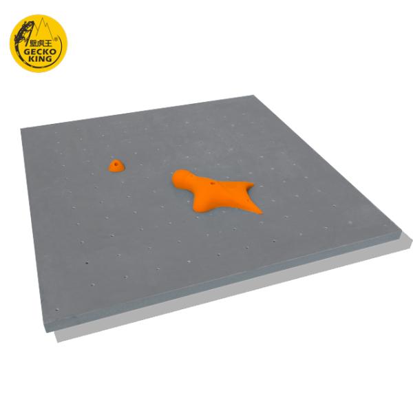 IFSC Standard Rock Climbing Wall Panel For Gym Improve Climbing Skills