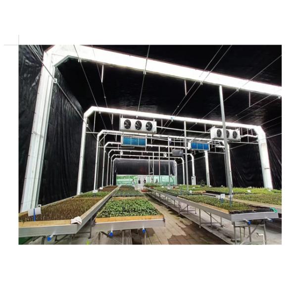 8*30m Greenhouse With Blackout System For Herbal Planting