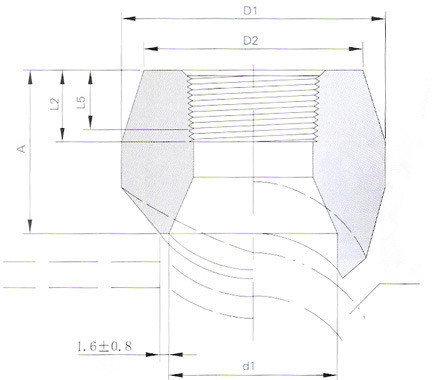 ANSI Socket Weld Pipe Weldolet Alloy Pipe Fittings