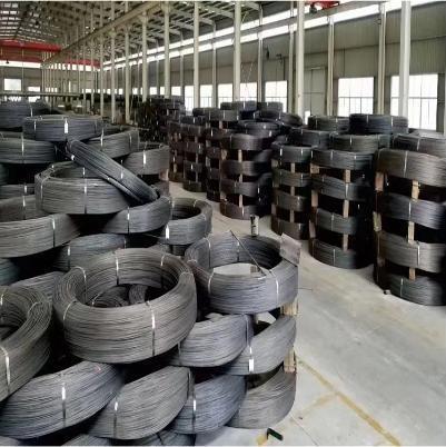 ASTM Standard Drawn Steel Wire for Products