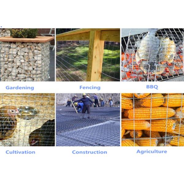 Hot Dipped Galvanized Reinforcing Wire Mesh For Agriculture , Eco Friendly