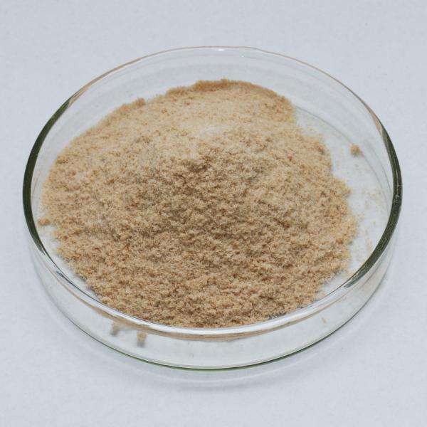 alcalase protease 50000u/g-1500000u/g Protease manufacturers, enzyme preparations have price advantagesSpecifications