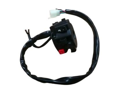 Left Ignition Switch Assy 12V AC Motorbike Spare Parts