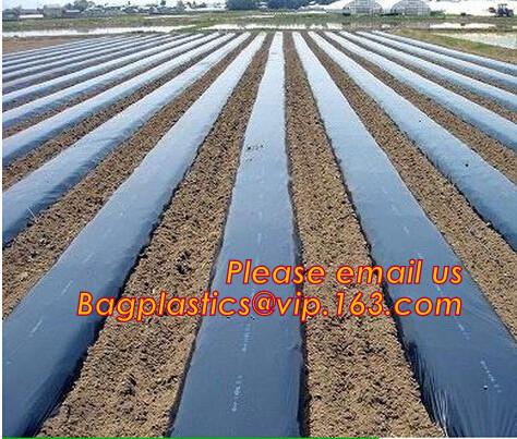 100% new LDPE green house plastic clear covering film,anti drip tomato Hydroponics agricultural plastic film