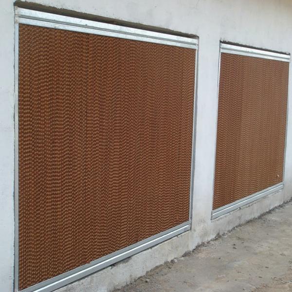 Manufacturers Battery Egg Layer Chicken Farm Poultry Laying Hens Cages