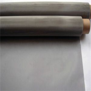 Food Grade High Temperature Resistant Stainless Steel Wire Mesh Conveyor Belt Customizable Size