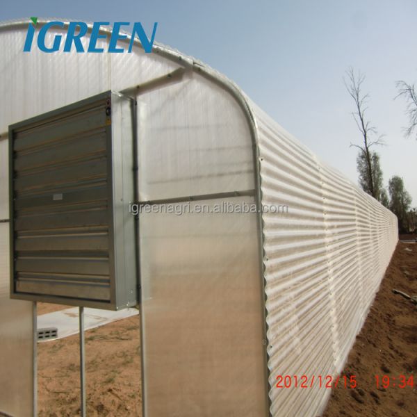 Single-Span PE PC Sheet Greenhouse for Hot & Arid Regions-Heat-Resistant Agricultural Greenhouse