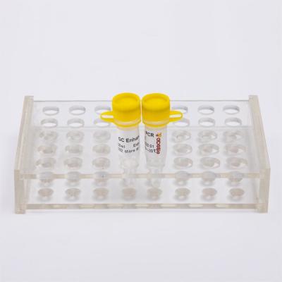 DNase I, RNase-Free Molecular Tool Enzyme