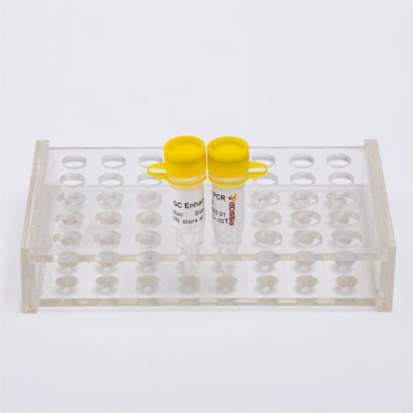 DNase I, RNase-Free Molecular Tool Enzyme