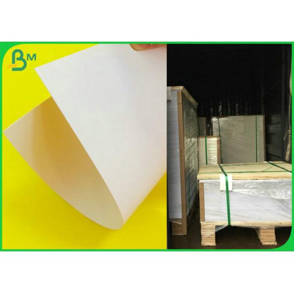 300GSM Glossy One Side 900MM X 640MM SBS Board For Making Post Card