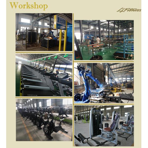 Full Commercial Gym Equipment Hammer Strength Dip Machine With Customizable Color