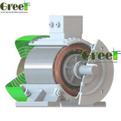 SKF Bearing Permanent Magnet Generator With IP54 Protection Aluminium Body And Cooper Wire