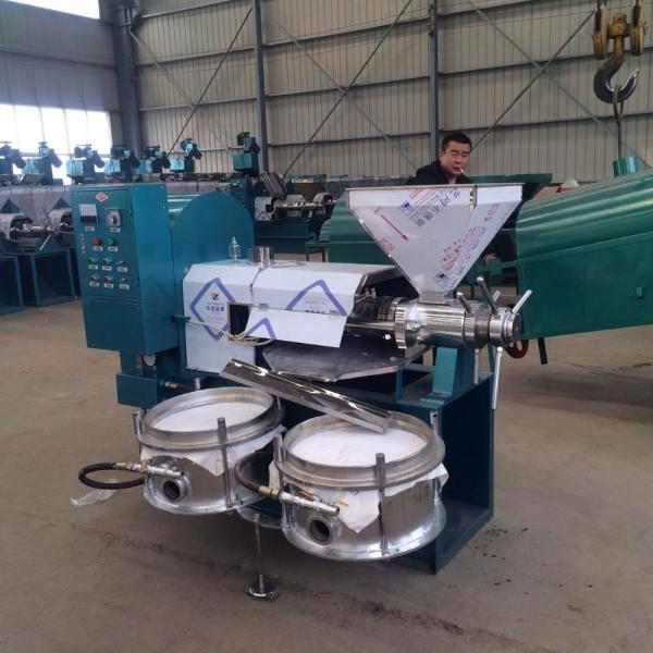 Sunflower Screw Spiral Oil Press Machine for All Your Sesame Oil Extraction Needs