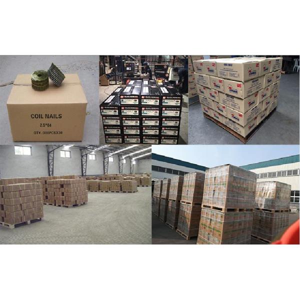 High quality Wire pallet coil nails from mexico coil nails factory