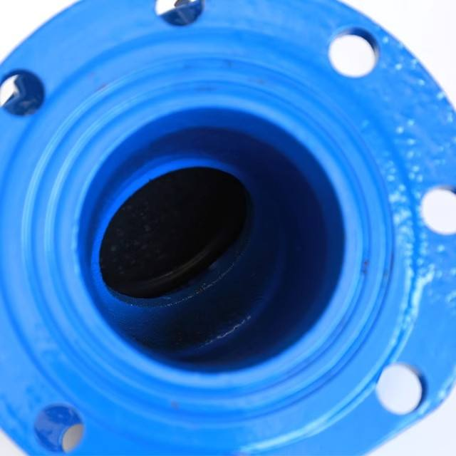 Ductile Iron QT450 Swing Check Valve Flanged End Blue Epoxy Coated Non-return Valve for Water Supply